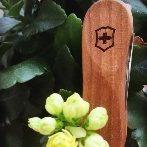 Victorinox Nail Clip 580 - Walnut - Image 5