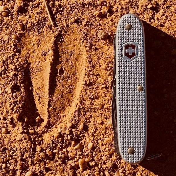 Victorinox Pioneer X Alox - Silver - Image 4